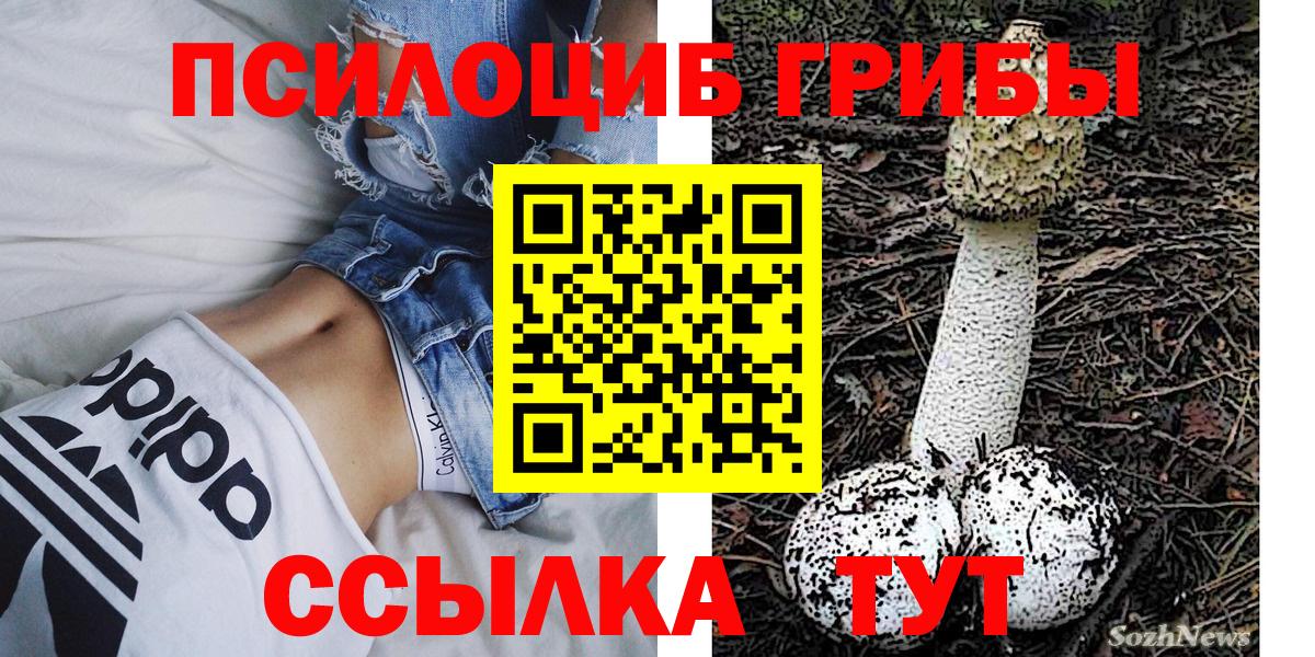 Заводоуковск  купить закладку  Вход с VPN  Псилоцибиновые грибы MAGIC MUSHROOMS 