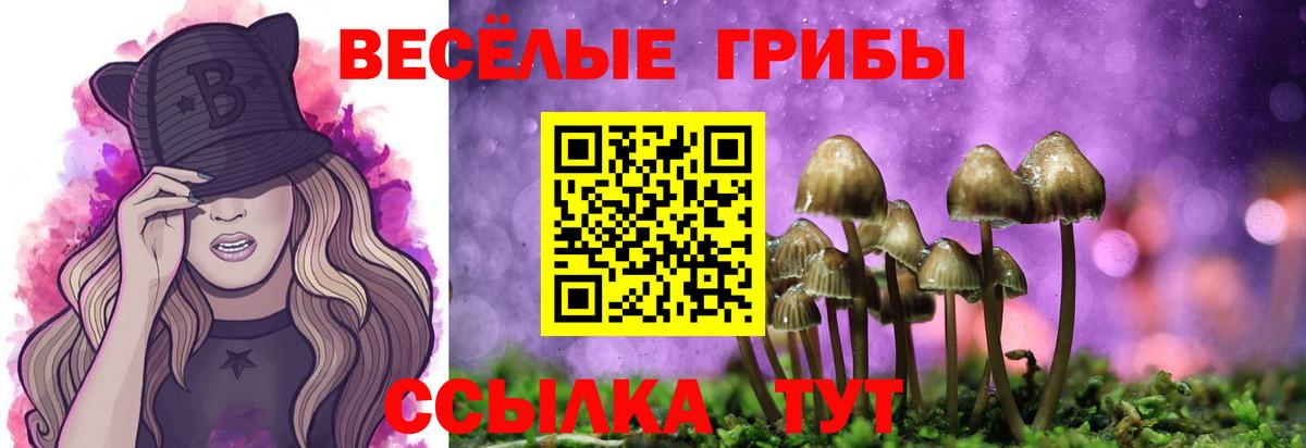 Галлюциногенные грибы Cubensis Заводоуковск
